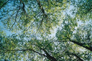 Nick Page | Unsplash