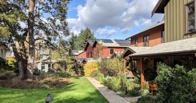 A court-style cottage cluster in Oregon. Courtesy of Sightline Institute