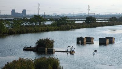 New Jersey Meadowlands. Leifern | Wikipedia