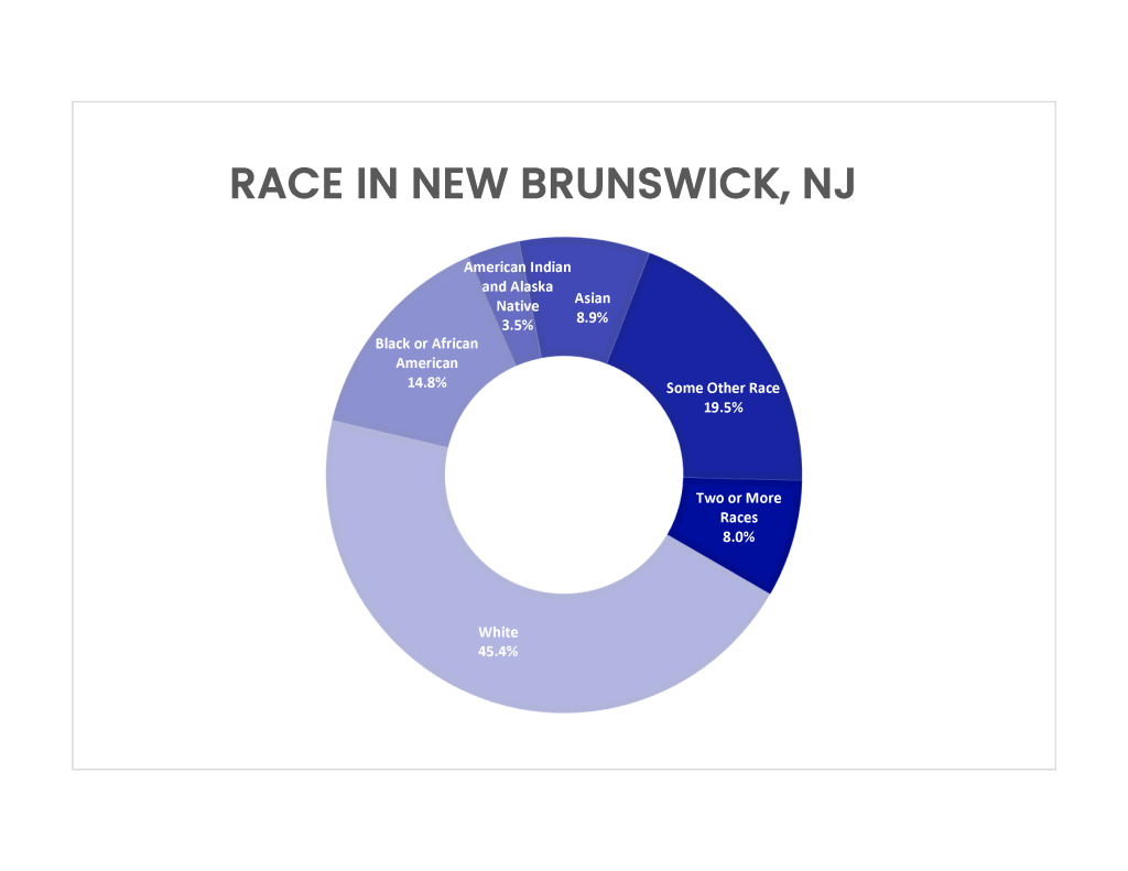 Graph that shows racial demographics in New Brunswick, NJ. 20 percent identify as some other race, 15 percent as Black or African American, 9 percent as Asian, 8 percent as two or more races, and 45 percent as White.
